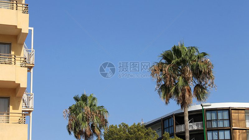 选址考量：城市繁华与自然环境兼顾